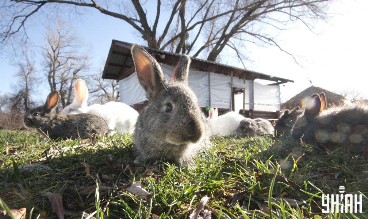 Žvirblis turi būti surastas laiku / koliažas su Moje nuotr.