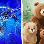 Padirbtos meškos suradimas per 5 sekundes: labai paprastas IQ testas