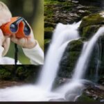 Visi mato krioklį, o lapę per 7 sekundes randa tik