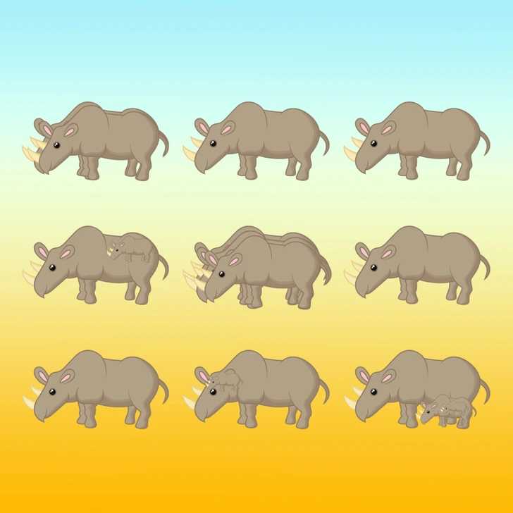 Mįslė