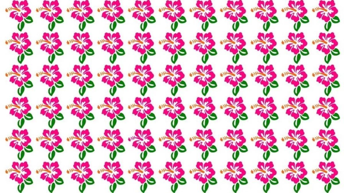Suraskite neįprastą hibiskusą nuotraukoje / Fresherslive nuotr.