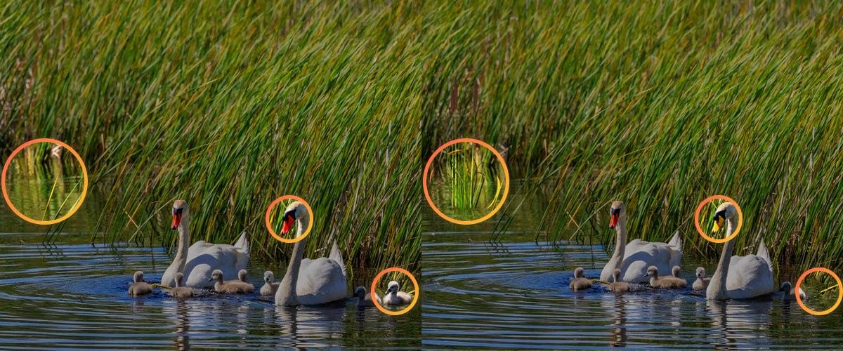 Norint įveikti dėlionę, reikėjo atkreipti dėmesį į smulkias detales / koliažas Moje